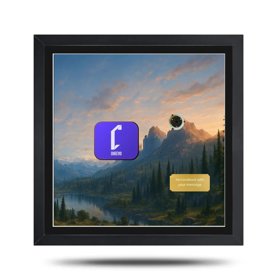Art inspired picture frame to display the Halo Infinite steelbook video game