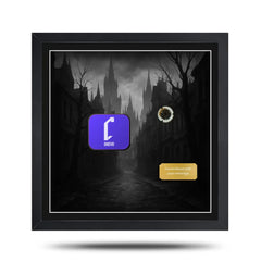 Bloodborne Steelbook inspired display frame with cheevo branded and a gold nameplate inside