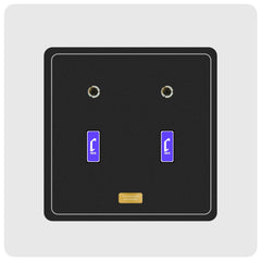 Two Item Display Snaplate™