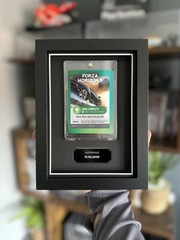 Forza Horizon 3 collector card inside a picture frame for display. The frame also has a black plaque with the completion date of the game inside. This is overlayed to a background showing multiple video games and movies on shelves.