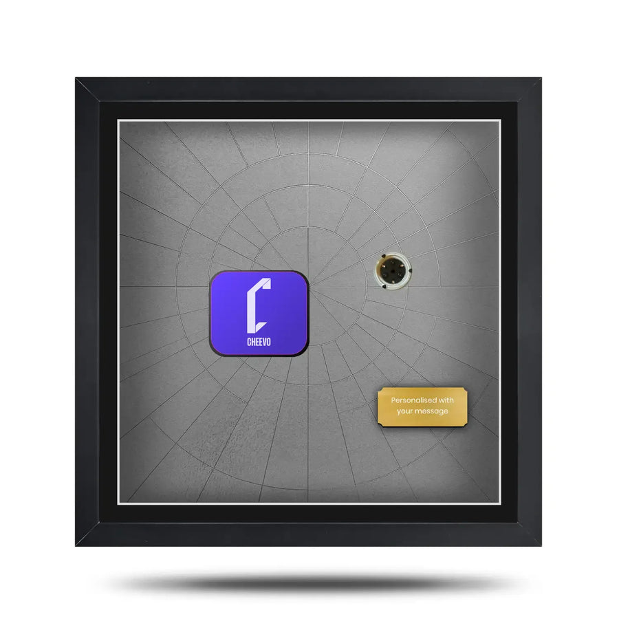 destiny art inspired video game display frame for steelbooks with cheevo branding