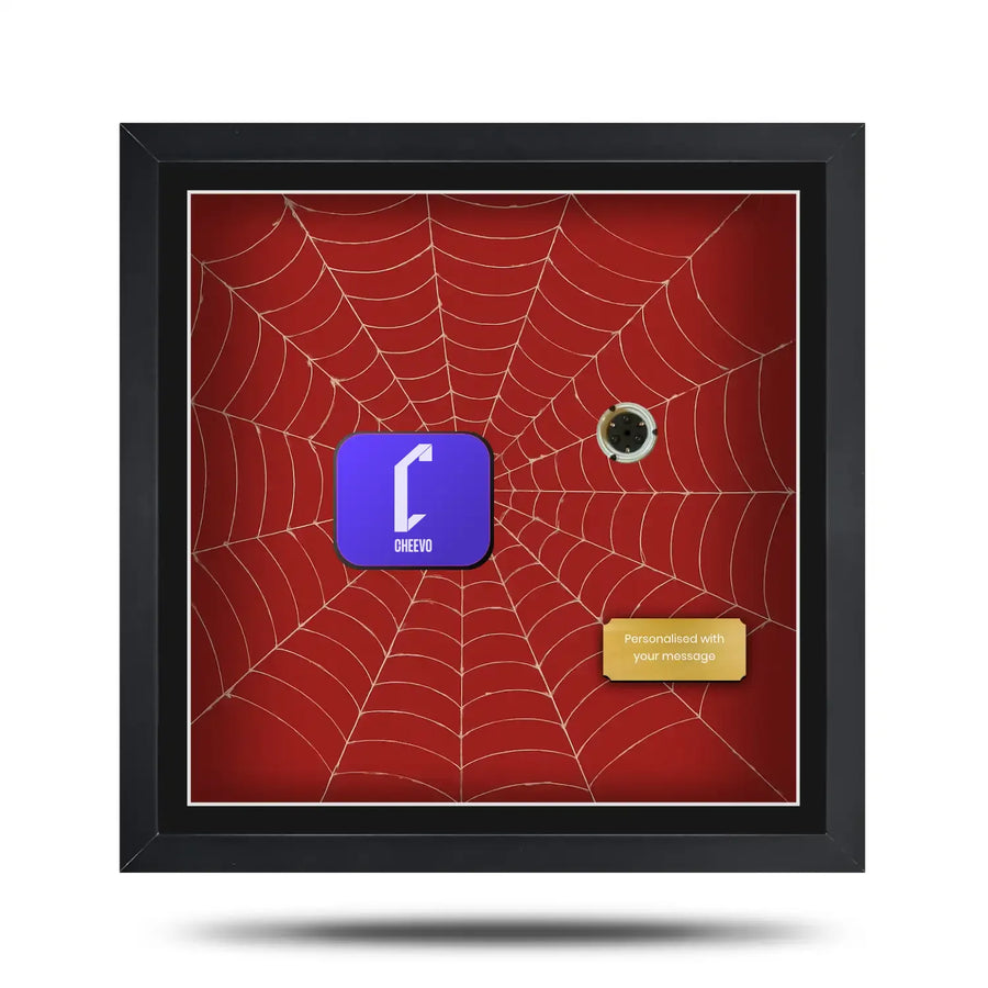 spider man steelbook inspired display frame featuring cheevo branding and a gold nameplate