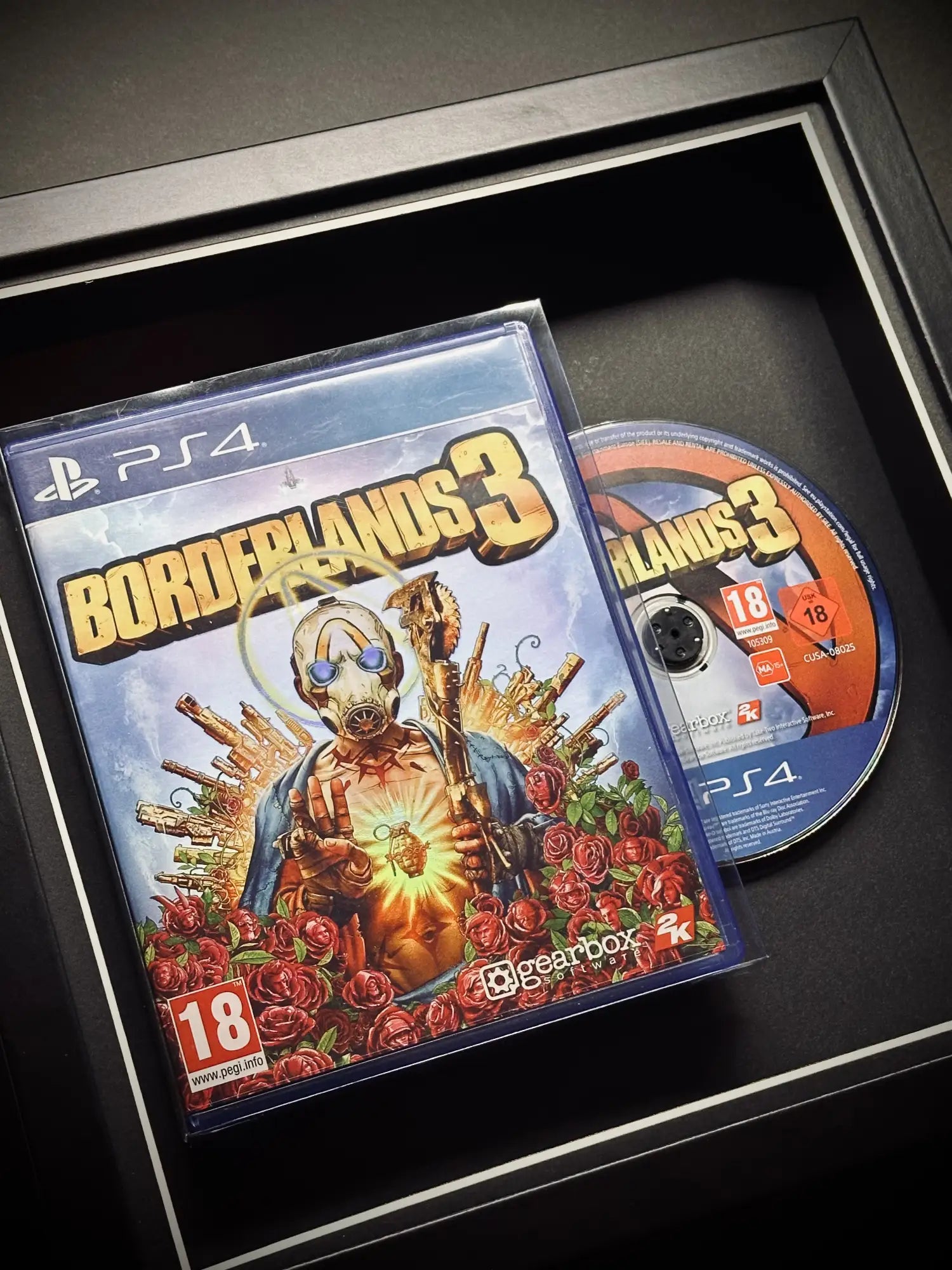 Borderlands Playstation 4 Video Game Display 