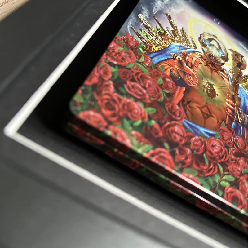 Borderlands steelbook inside of a picture frame from Cheevo ltd, displayed using magnets