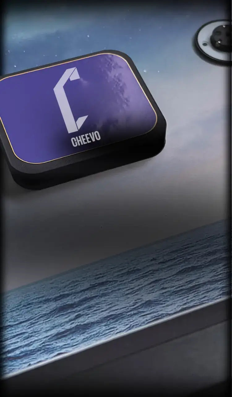 magnetic display frames for video games, made by cheevo