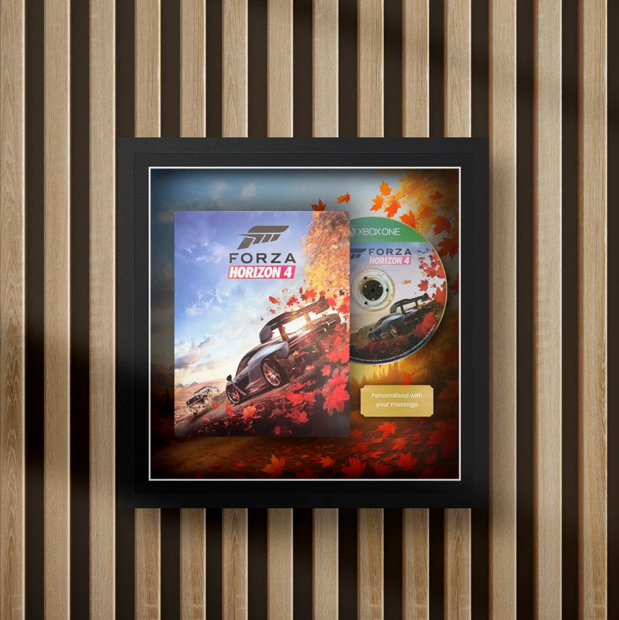 forza horizon 4 steelbook display frame with full colour background on a slat wall